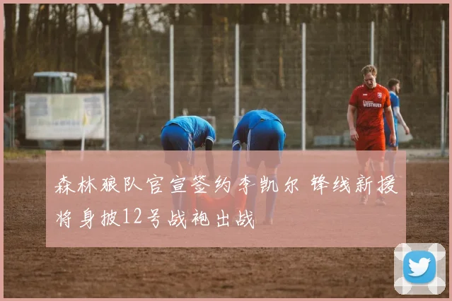 森林狼队官宣签约李凯尔 锋线新援将身披12号战袍出战