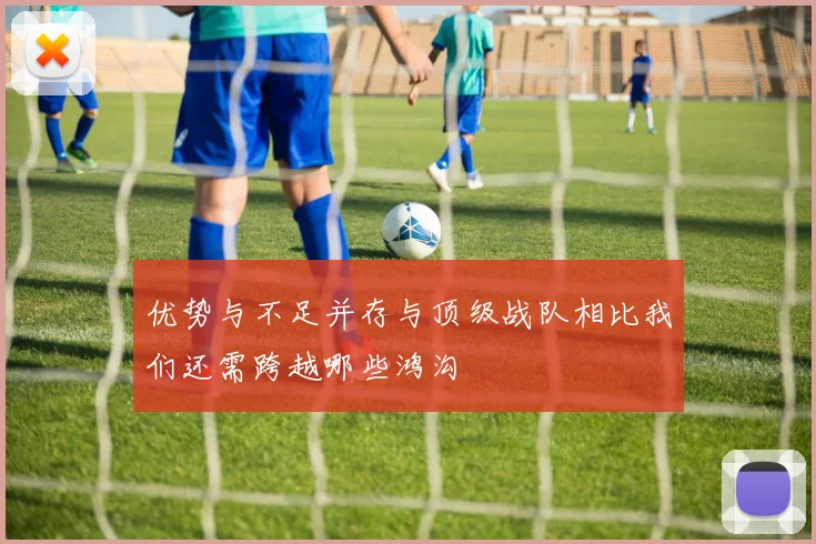 优势与不足并存与顶级战队相比我们还需跨越哪些鸿沟