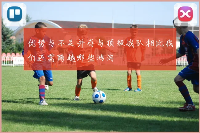 优势与不足并存与顶级战队相比我们还需跨越哪些鸿沟