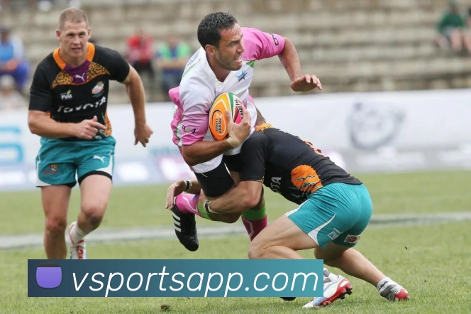 vsports体育APP 封面图